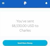 paypal money transfer paypal money transfer